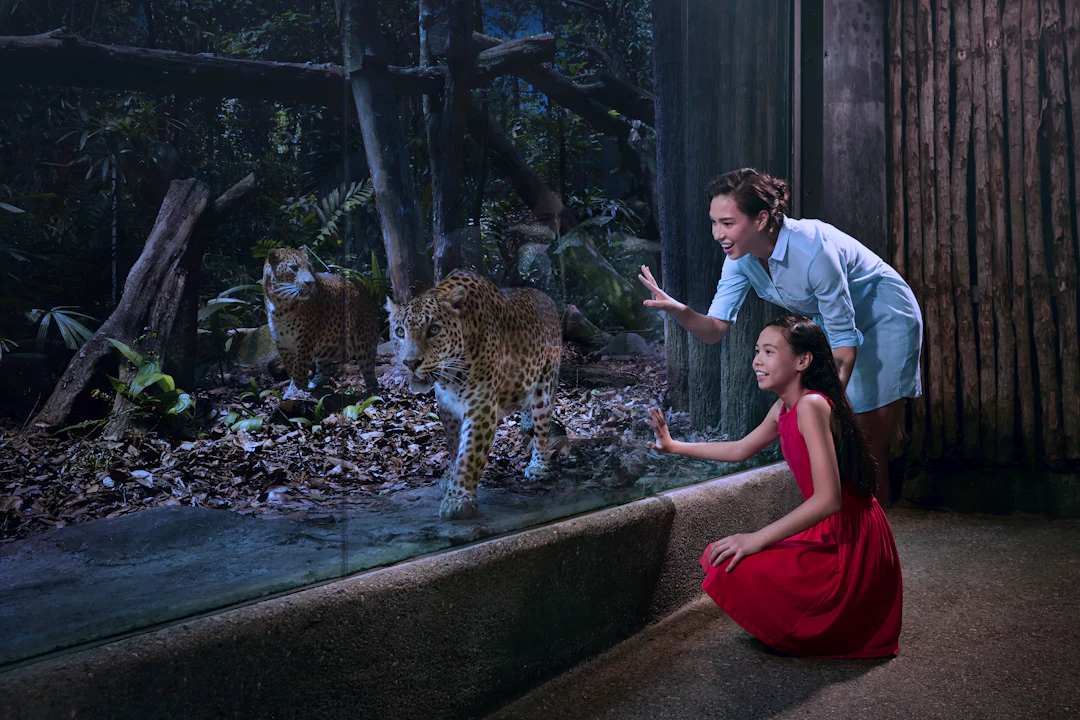singapore zoo night safari